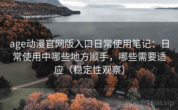age动漫官网版入口日常使用笔记：日常使用中哪些地方顺手，哪些需要适应（稳定性观察）