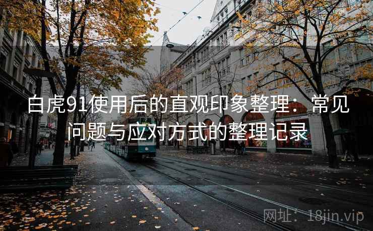 白虎91使用后的直观印象整理：常见问题与应对方式的整理记录