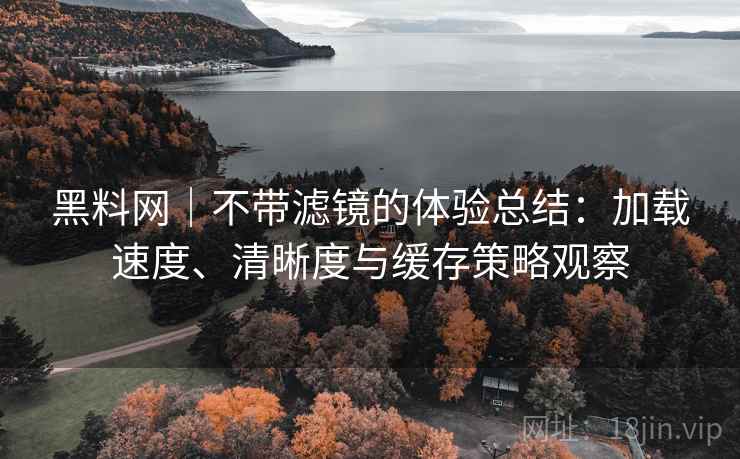 黑料网｜不带滤镜的体验总结：加载速度、清晰度与缓存策略观察