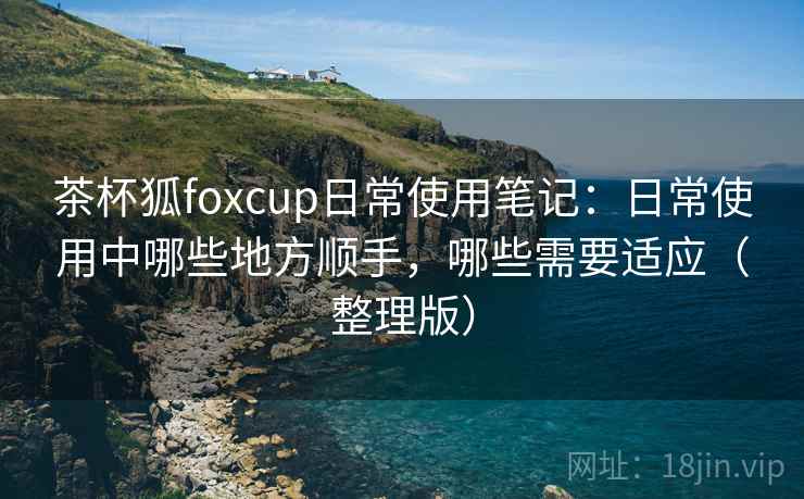 茶杯狐foxcup日常使用笔记：日常使用中哪些地方顺手，哪些需要适应（整理版）