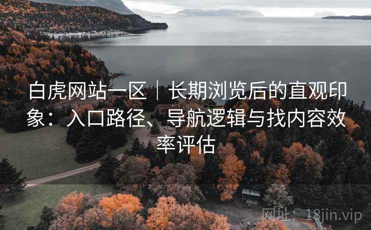 白虎网站一区｜长期浏览后的直观印象：入口路径、导航逻辑与找内容效率评估