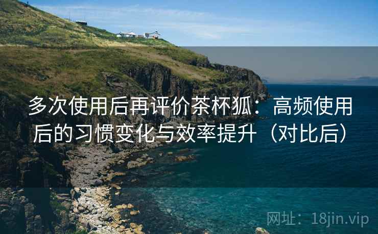 多次使用后再评价茶杯狐：高频使用后的习惯变化与效率提升（对比后）