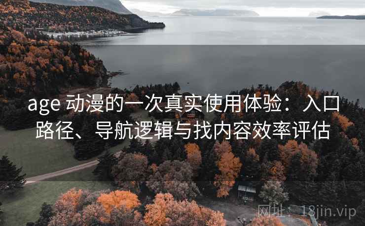 age 动漫的一次真实使用体验：入口路径、导航逻辑与找内容效率评估