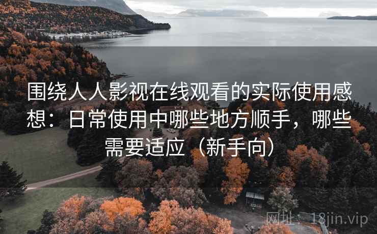 围绕人人影视在线观看的实际使用感想：日常使用中哪些地方顺手，哪些需要适应（新手向）