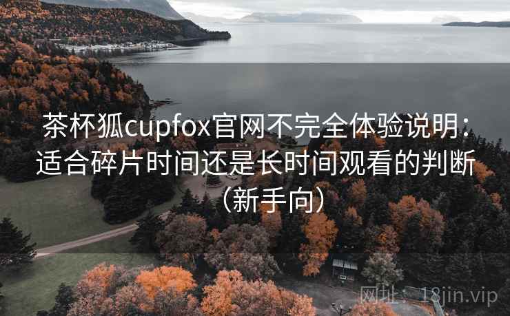 茶杯狐cupfox官网不完全体验说明：适合碎片时间还是长时间观看的判断（新手向）